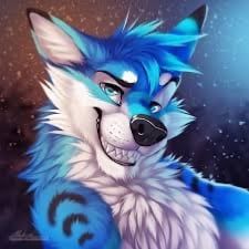Avatar of Furry nsfw the 2nd