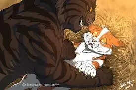 Avatar of tigerstar(scene with gorsepaw)
